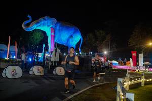 BIB: 
                            <button type="button" onclick="openModal(26552407)" class="btn btn-primary btn-sm float-right btn-popup" data-toggle="modal" data-target=".modal-high-quality">
                        <i class="fas fa-shopping-cart"></i> Add to Cart
                    </button>
                                            <button type="button" onclick="isThisMe(26552407, true)" class="btn btn-success btn-sm float-right btn-popup btn-isme hidden" data-toggle="tooltip" data-placement="bottom" title="นี่คือรูปของคุณใช่ไหม คลิกที่นี่เพื่อเอาเข้าอัลบั้ม">
                        <i class="fas fa-plus"></i> Add to album
                    </button>
                    <button type="button" onclick="isThisMe(26552407, false)" class="btn btn-warning btn-sm float-right btn-popup btn-isnotme hidden">
                        <i class="fas fa-ban"></i> Remove from album
                    </button>